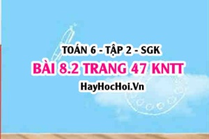 Bài 8.2 trang 47 Toán 6 Tập 2 Kết nối tri thức